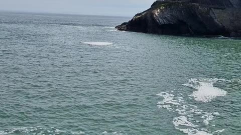 Ilfracombe Bay South West uk