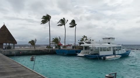 Seaplane Landing Maldives 2021 4k