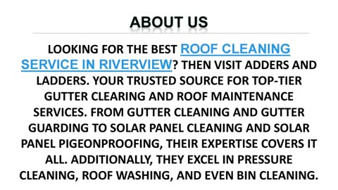 Best Roof Cleaning Service in Riverview