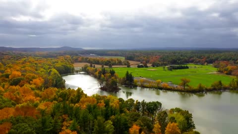 Enchanting Autumn Forests with Beautiful Piano Music