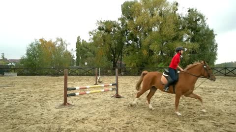 Young female rider on bay horse jumping over hurdle