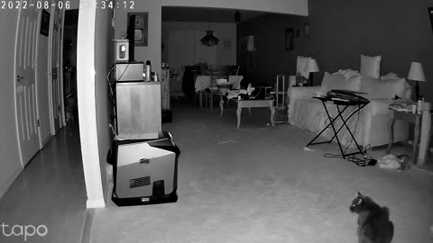 TP-Link Tapo Pan/Tilt Security Camera Raw footage