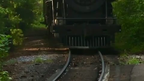 Dollywood Steam Train