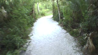 Hammock Park, Cline Trail