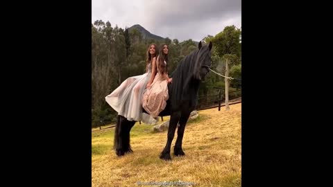 IHorse - ncredible Friesian Horses // compilation