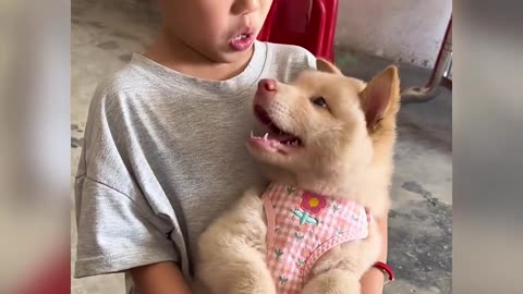 Cute dog