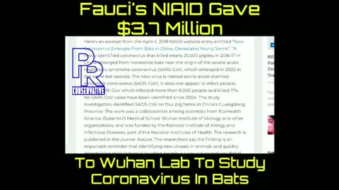 Fauci Sent millions to a Wuhan lab in China study Coronavirus in bats.. years before the outbreak