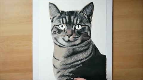 Learn how to draw a cat with oil paint! (Beginners)