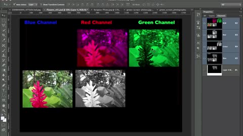 Understanding Channels in Photoshop