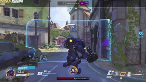 Rein Highlight