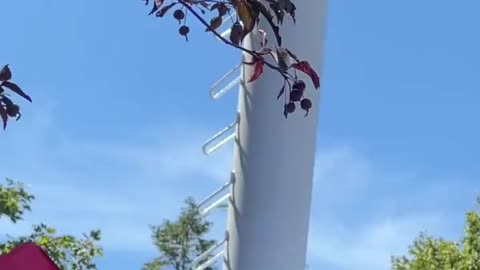 Trump's Plane Flies Over Iowa State Fair - Distracts DeSantis Crowd