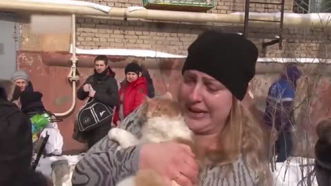 Emotional ! Animals asked people to help