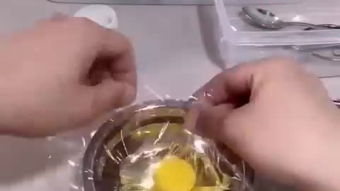 how A chick BORN FROM A EGG