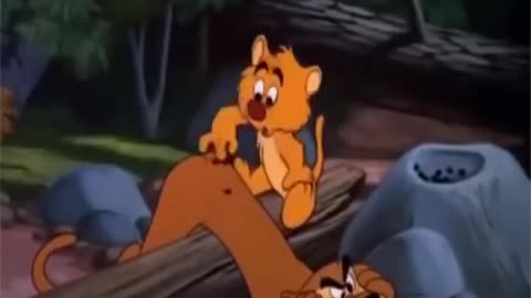 Tiger and duck cartoon funny video