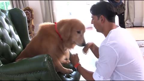 Watch the behind the scenes dog "Entertainment"