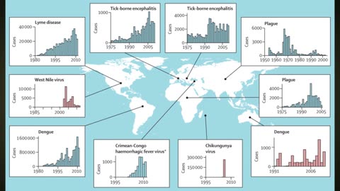 Outbreaks of Deadly Insect-Borne Diseases Accord with DDT Reductions, Not Global Warming