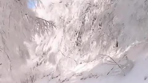 The Magic Of Winter In Snow Status Snowfall Video