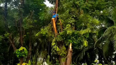 SAFETY FIRST #cutting branches safely #shorts