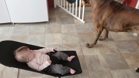 Bebé jugando con su mascota