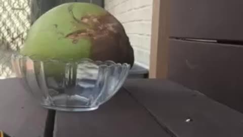 The right easy way to get a coconut water!!