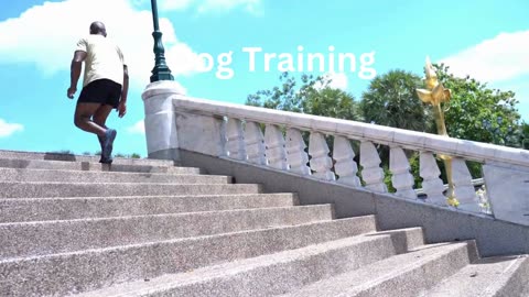 Dog training