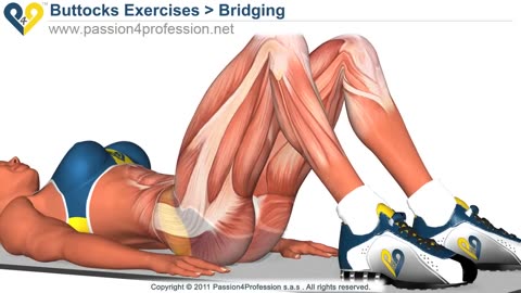 best tone buttock exercises- reduce buttocks and tighs with bridging exercise.