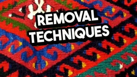 Rug Stain Removal