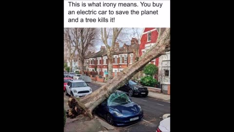 Epic Fails - Fallen Tree v EV