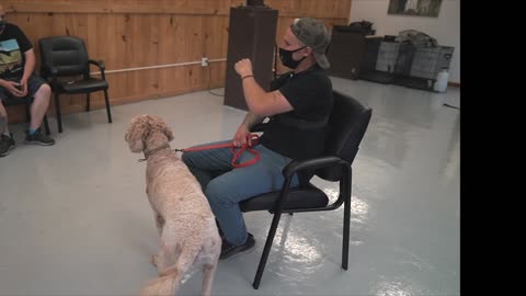 SEPERATION ANXIETY DOG TRAINING FOR FEARFUL DOODLE (TRANSFORMATION)