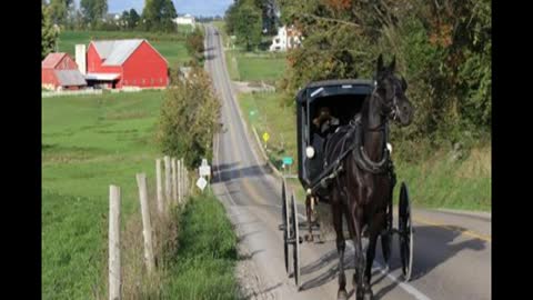 Amish Wedding Song