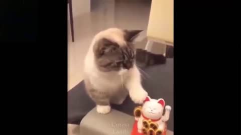 Cat Imitating Chinese Toy