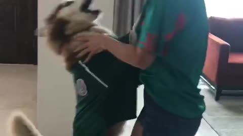 Enthusiastic Husky celebrates goal with owner