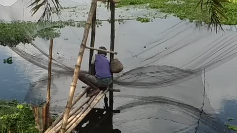 Traditional Net Fishing