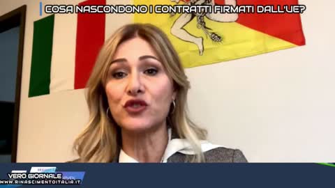 COSA NASCONDONO I CONTRATTI FIRMATI DALL'UE?