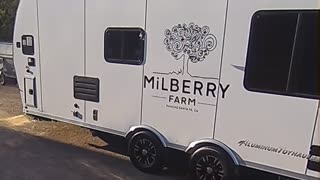 Confused Birds Fly Into Side of Trailer