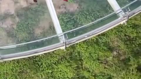 This high glass bridge is too scary to be safe.