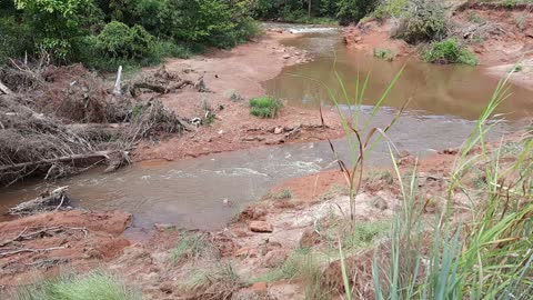 Martin Park Stream