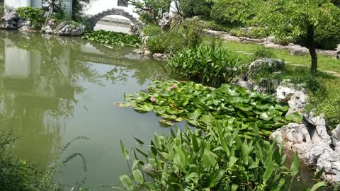 Small bridge and flowing water