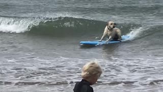 Prodigy Lab Rides Surfboard for the First Time