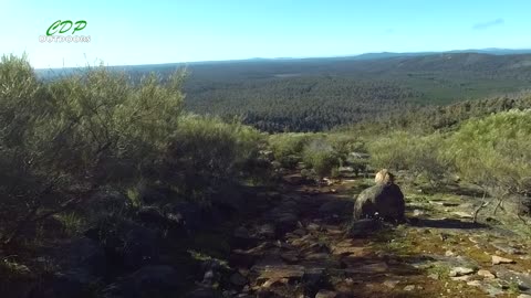 Bibbulmun track part 11 Mount Cooke To Nerang