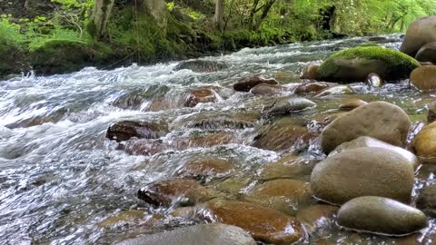 Stoney Stream