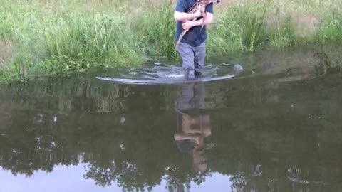 Newborn Fawn Rescued from Arkansas River Flood