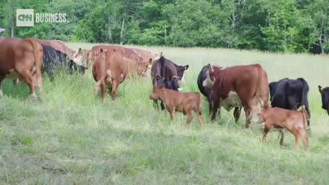 Human Urine is Being Mooted as a Fertilizer Alternative For Your Food.