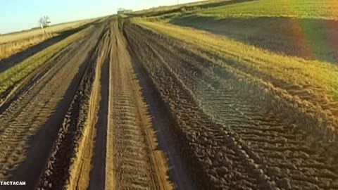 Pheasant Hunt 4 in Ashton, South Dakota.