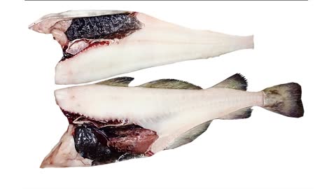 Pacific cod, Gadus macrocephalus, 太平洋鳕鱼, マダラ, Треска ПБГ, Russian Fish