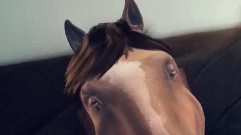 Horse face. "WEESAWWW"