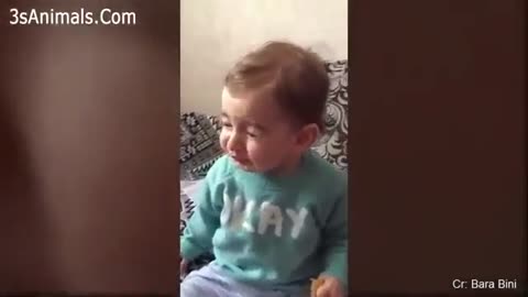 Hilarious Baby tastes lemon for the first time