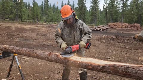 Log Stripping Disk in Action