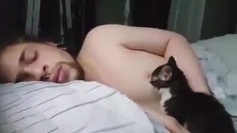 Omg! What This Cat Doing To Its Drowsy Human Is Freaking Weird