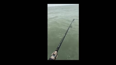 Amazing Daily Life Fishing Video